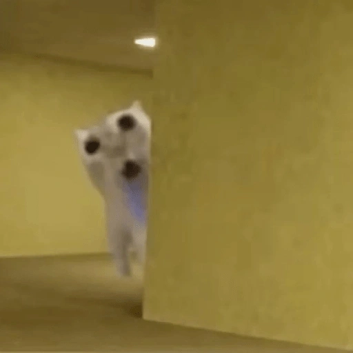 Figurinha de gato babando para WhatsApp (2 de 28)