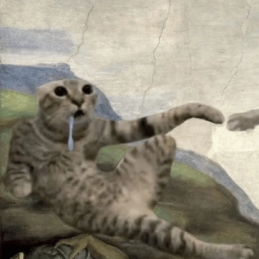 Figurinha de gato babando para WhatsApp (3 de 28)
