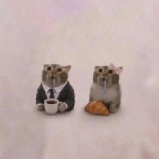 Figurinha de gato babando para WhatsApp (5 de 28)