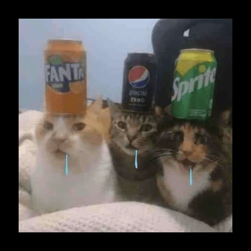 Figurinha de gato babando para WhatsApp (8 de 28)