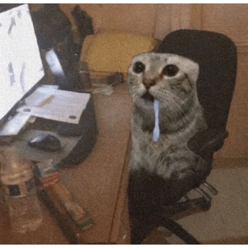 Figurinha de gato babando para WhatsApp (9 de 28)