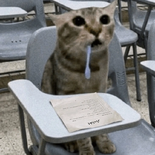 Figurinha de gato babando para WhatsApp (10 de 28)
