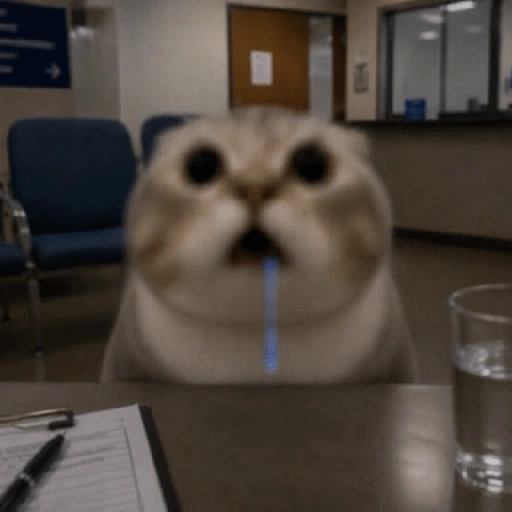Figurinha de gato babando para WhatsApp (11 de 28)
