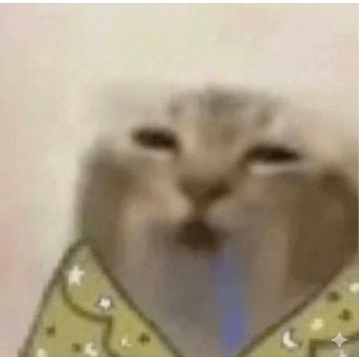 Figurinha de gato babando para WhatsApp (13 de 28)