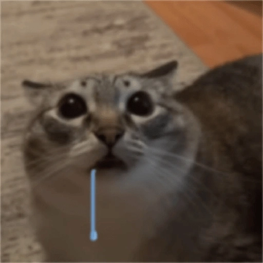 Figurinha de gato babando para WhatsApp (17 de 28)