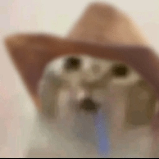 Figurinha de gato babando para WhatsApp (21 de 28)