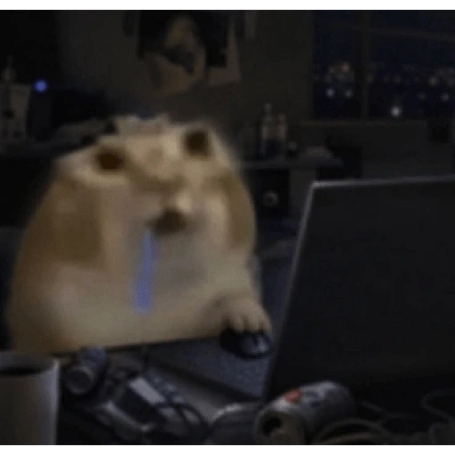 Figurinha de gato babando para WhatsApp (22 de 28)