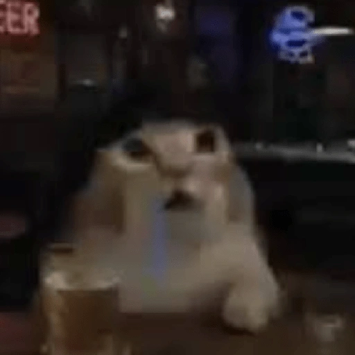 Figurinha de gato babando para WhatsApp (24 de 28)