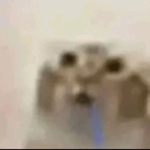 Figurinha de gato babando para WhatsApp (25 de 28)