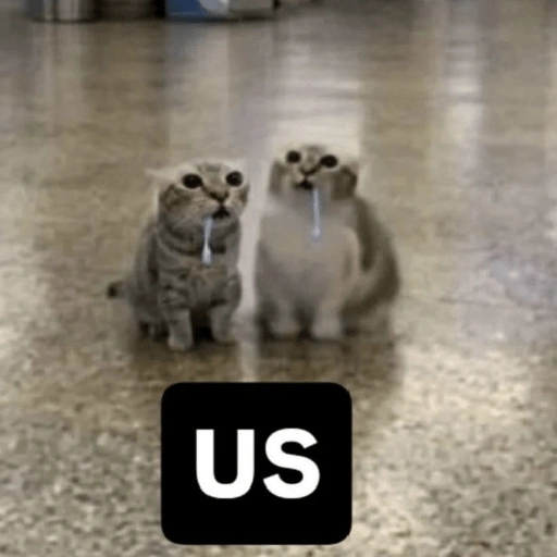 Figurinha de gato babando para WhatsApp (26 de 28)