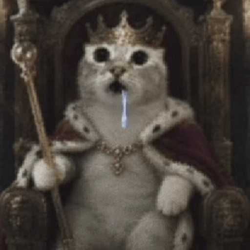 Figurinha de gato babando para WhatsApp (28 de 28)