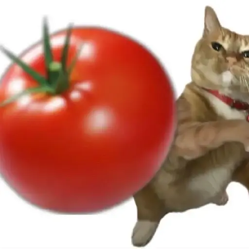 Figurinhas de Gato Tomate 🐱 🍅 para WhatsApp