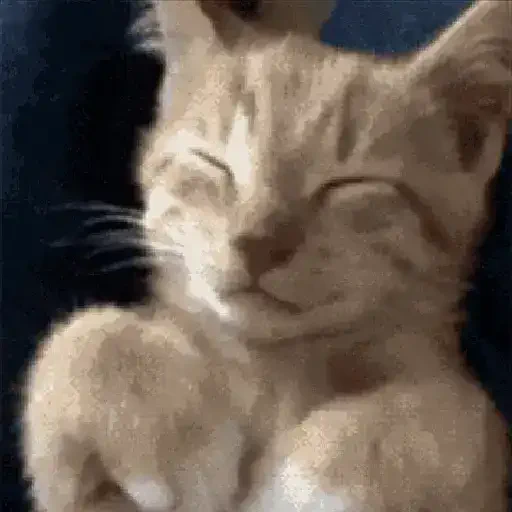 Figurinha de gato (6 de 12)