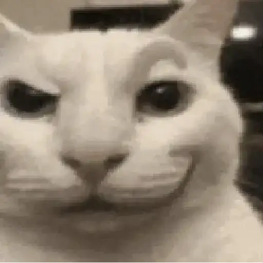 Figurinha de gato (8 de 12)