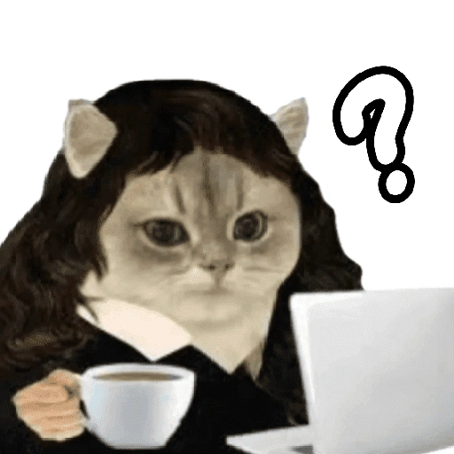 Figurinha de gatos 2😎 para WhatsApp (1 de 20)