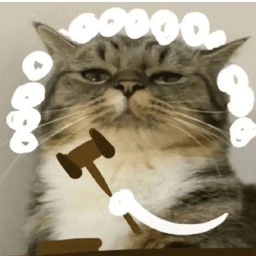 Figurinha de gatos 2😎 para WhatsApp (2 de 20)