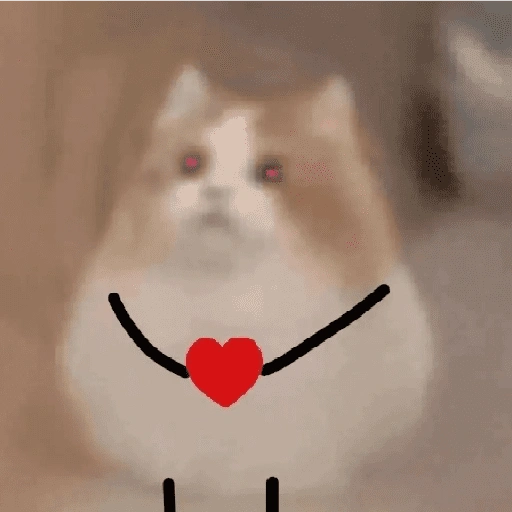Figurinha de gatos 2😎 para WhatsApp (3 de 20)