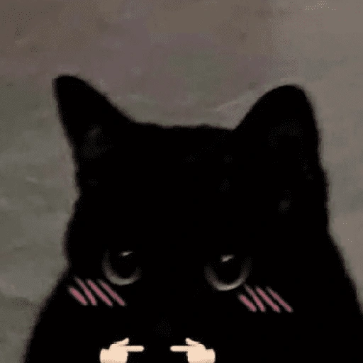 Figurinha de gatos 2😎 para WhatsApp (8 de 20)
