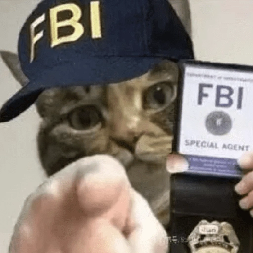Figurinha de gatos 2😎 para WhatsApp (9 de 20)