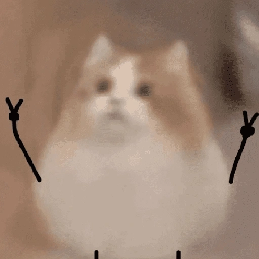 Figurinha de gatos 2😎 para WhatsApp (12 de 20)