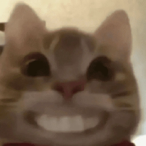 Figurinha de gatos 2😎 para WhatsApp (20 de 20)