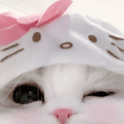 Figurinha de GATOS 😻 (14 de 15)