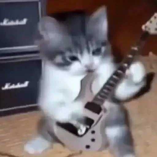 Figurinha de gatos para WhatsApp (3 de 15)