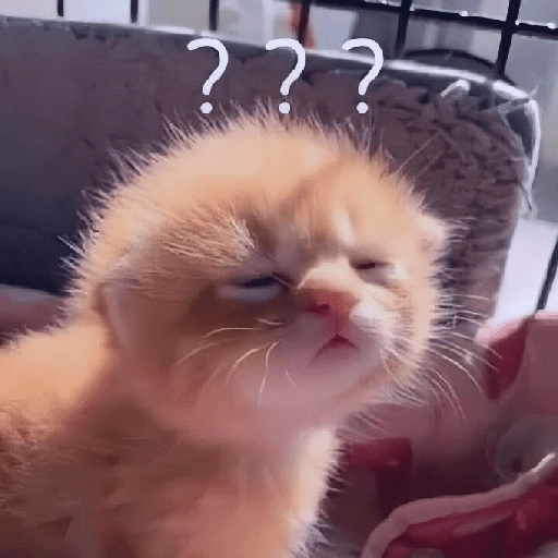 Figurinha de gatos fofos e caóticos 🐱 (1 de 15)