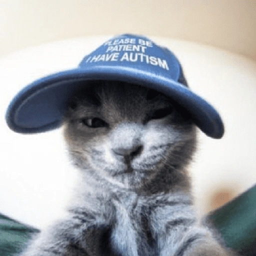 Figurinha de gatos fofos e caóticos 🐱 (2 de 15)
