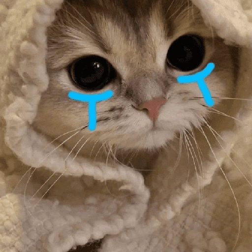 Figurinha de gatos fofos e caóticos 🐱 (4 de 15)