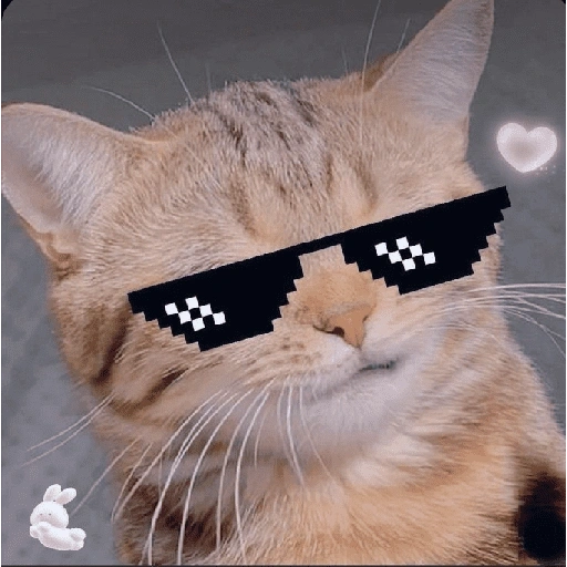 Figurinha de gatos fofos e caóticos 🐱 (5 de 15)
