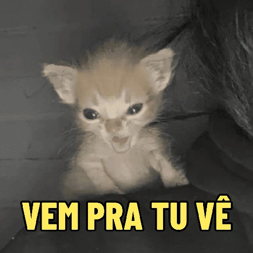 Figurinha de gatos fofos e caóticos 🐱 (8 de 15)