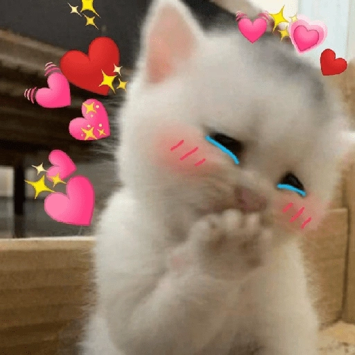 Figurinha de gatos fofos e caóticos 🐱 (12 de 15)