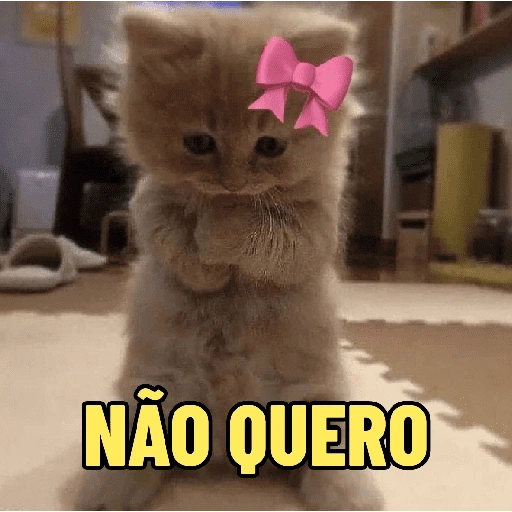 Figurinha de gatos fofos e caóticos 🐱 (13 de 15)