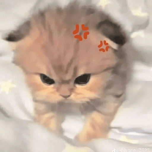 Figurinha de gatos fofos e caóticos 🐱 (15 de 15)