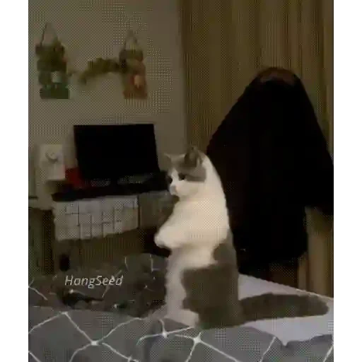 Figurinha de Gatos lindos 🐱💕✨ (7 de 15)