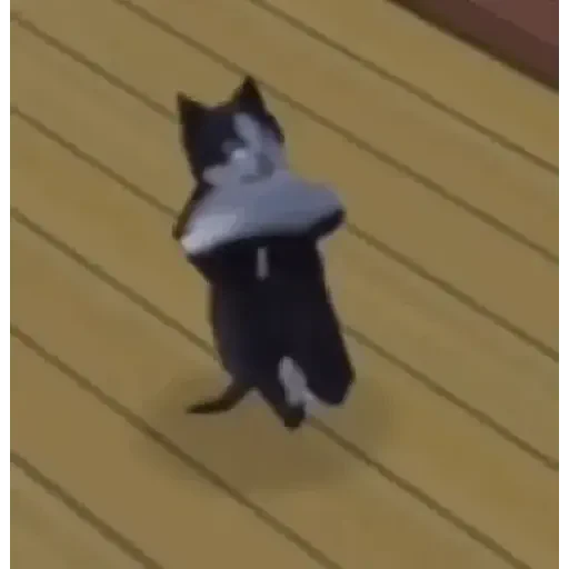 Figurinha de Gatos loucos 🐈 para WhatsApp (6 de 15)