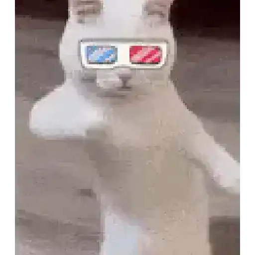 Figurinha de Gatos loucos 🐈 para WhatsApp (12 de 15)