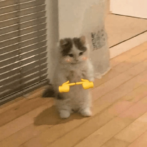 Figurinha de Gatos malucos ❤️🐈 (12 de 15)