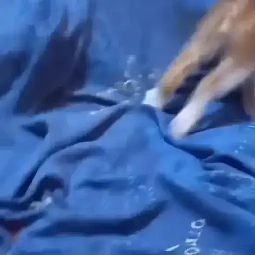 Figurinha de Gatos 🐱 (2 de 30)