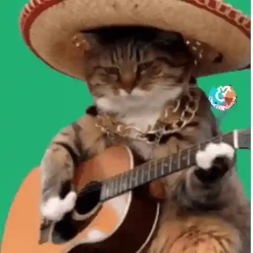 Figurinha de GIFs de Gatos Reações 4 🐱 para WhatsApp (2 de 20)
