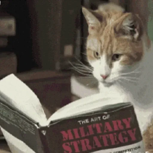 Figurinha de GIFs de Gatos Reações 4 🐱 para WhatsApp (18 de 20)