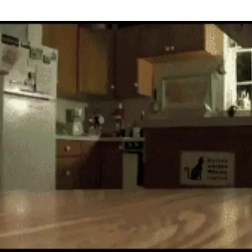 Figurinha de GIFs de Gatos Reações 4 🐱 para WhatsApp (19 de 20)