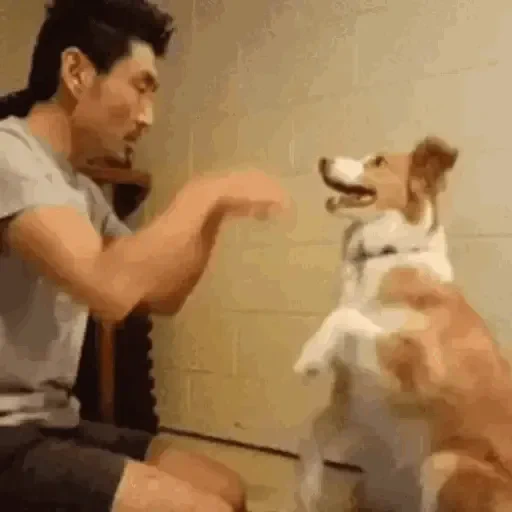 Figurinha de GIFs Reações Oração 🙏🏻 (15 de 15)
