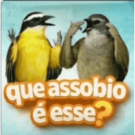 Figurinha de Grupo de assovio | Assobio (3 de 14)