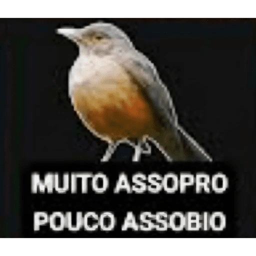 Figurinha de Grupo de assovio | Assobio (12 de 14)