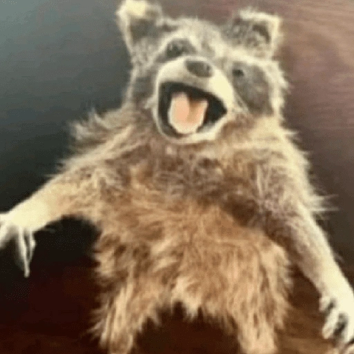 Figurinha de Guaxinim (7 de 30)
