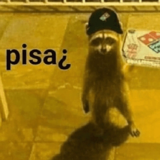 Figurinha de Guaxinim (28 de 30)