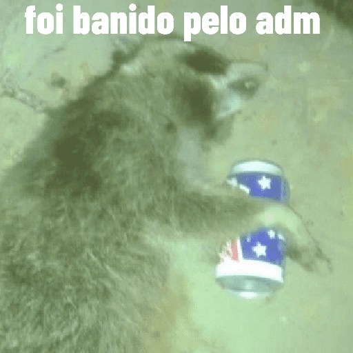Figurinha de Guaxinim (29 de 30)