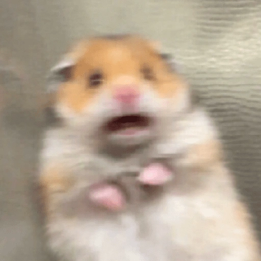 Figurinha de Hamster 🐹 (2 de 12)